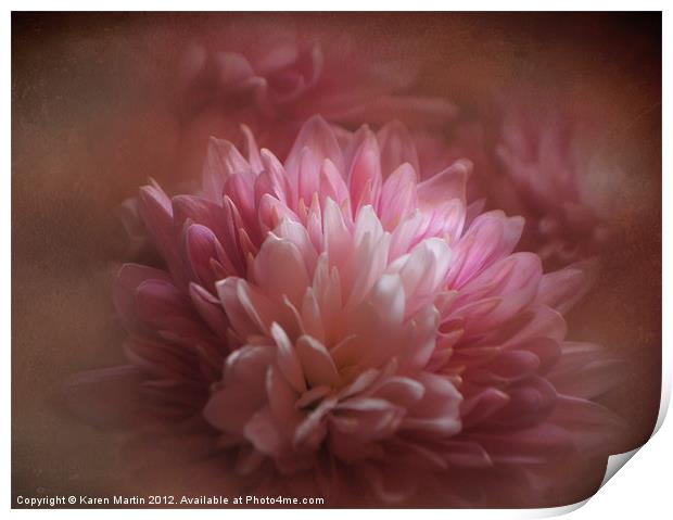 Pink Chrysanthemums Print by Karen Martin