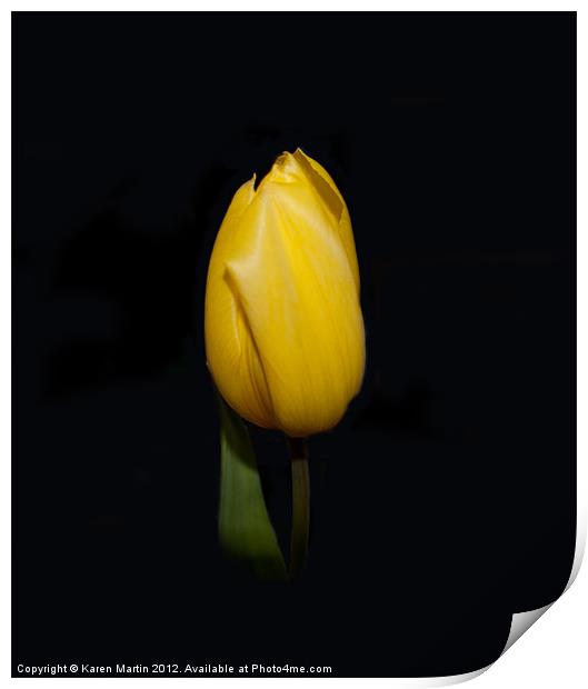 Yellow Tulip Print by Karen Martin
