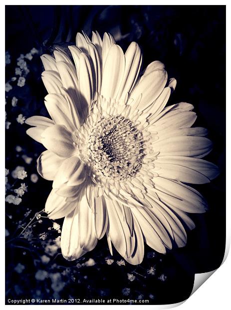 White Gerbera Blue Print by Karen Martin