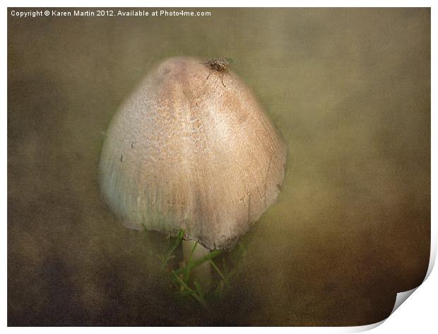 Mushroom Fly Print by Karen Martin