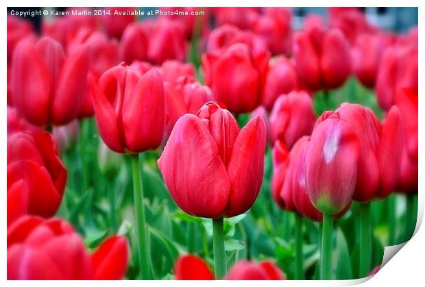 Red Tulips Print by Karen Martin