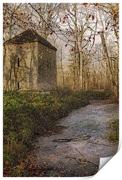 Woodland Hideaway Print by Karen Martin