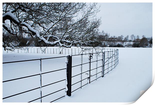 Cold Fence Print by Karen Martin