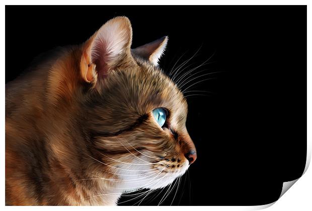 Tabby Blue Eyes Print by Karen Martin