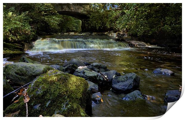 Small Rapids Print by John Boyle