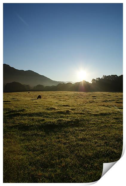 Daybreak in The Lakes Print by Nikki Mc