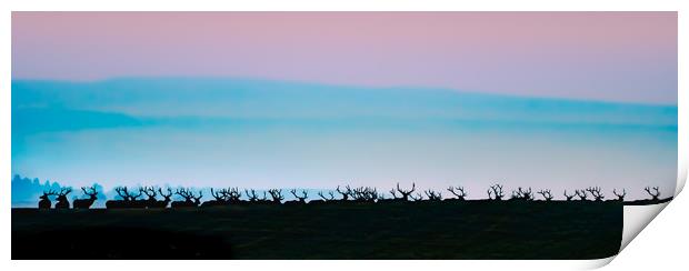 Wild Bull Elk Silhouetted Against A Rising Sun Print by Gary Beeler