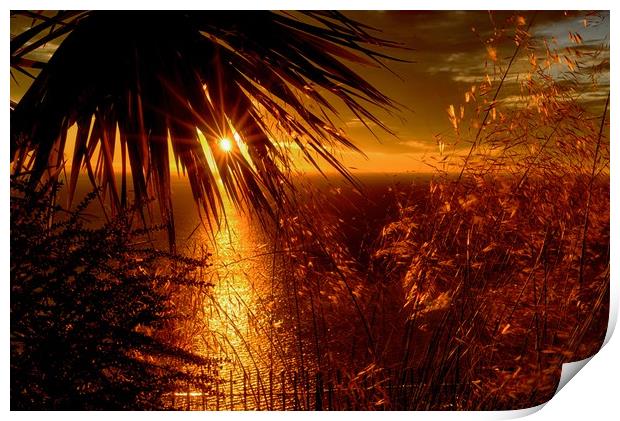 English Riviera Sunrise, Babbacombe, Torquay.  Print by Jan Sutton