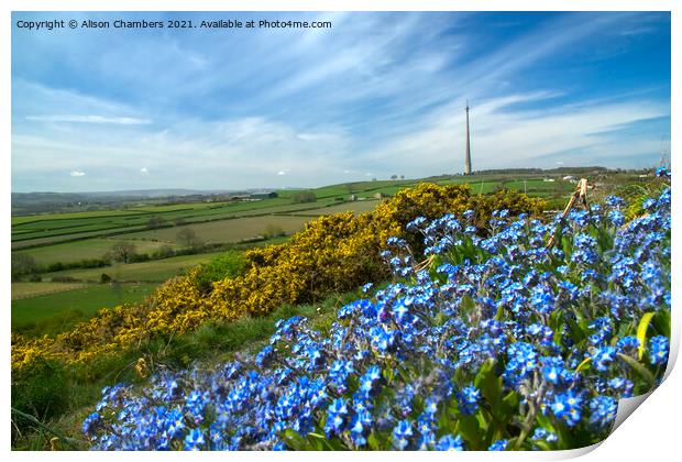 Emley Moor Mast View Print by Alison Chambers