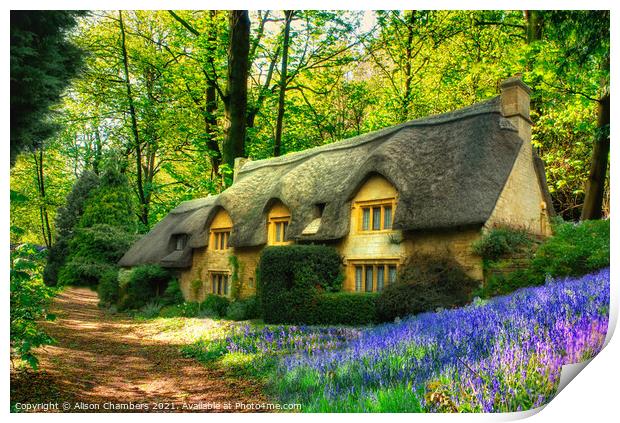 Thatched Bluebell Cottage Print by Alison Chambers