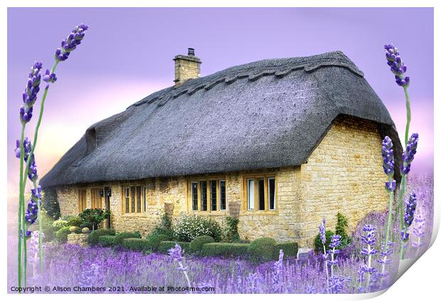 Lavender Cottage Print by Alison Chambers