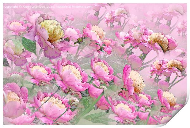 Peony Profusion Print by Alison Chambers