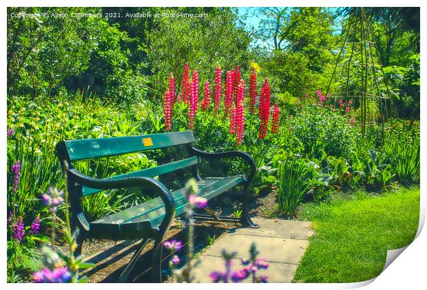 Summer Bench Print by Alison Chambers