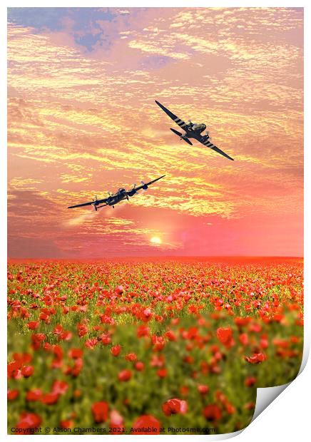 Lancaster and Dakota over Poppy Field Print by Alison Chambers