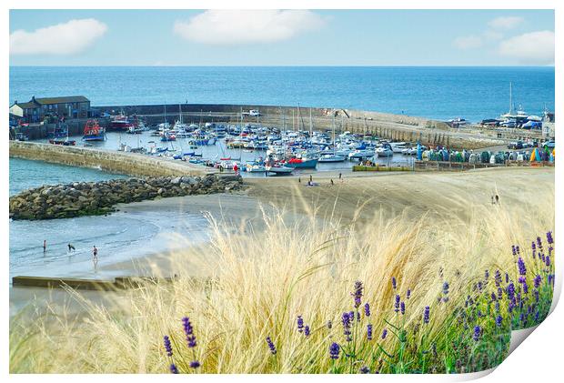 Lyme Regis Harbour View Print by Alison Chambers