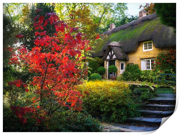 Cotswold Autumnal Cottage Print by Alison Chambers