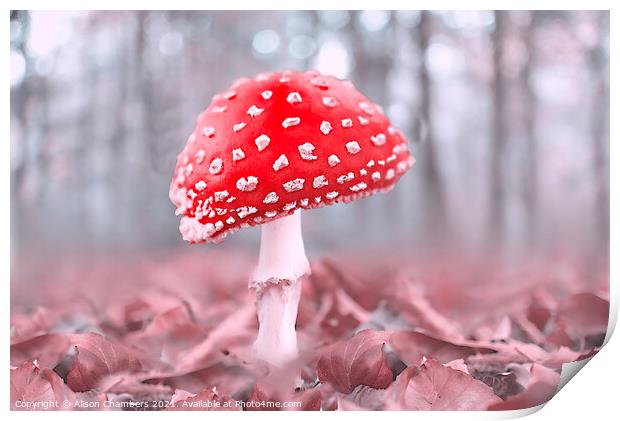 Misty Woodland Fly Agaric Print by Alison Chambers