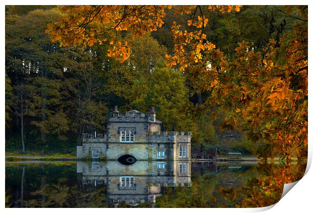 Newmillerdam Boathouse In Autumn Print by Alison Chambers