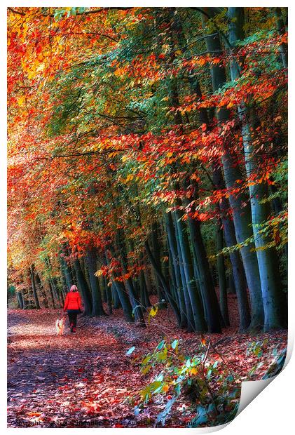 Newmillerdam Autumn Woodland Portrait  Print by Alison Chambers