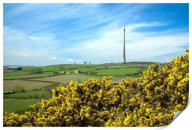 Emley Moor Mast View Print by Alison Chambers