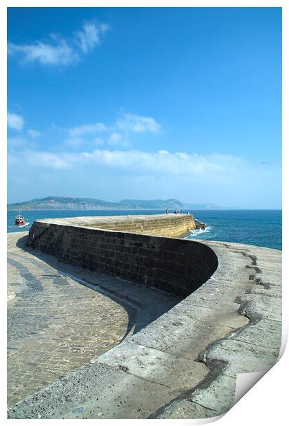 Lyme Regis The Cobb  Print by Alison Chambers