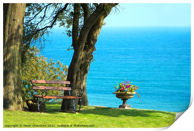 A Garden By The Sea In Lyme Regis  Print by Alison Chambers