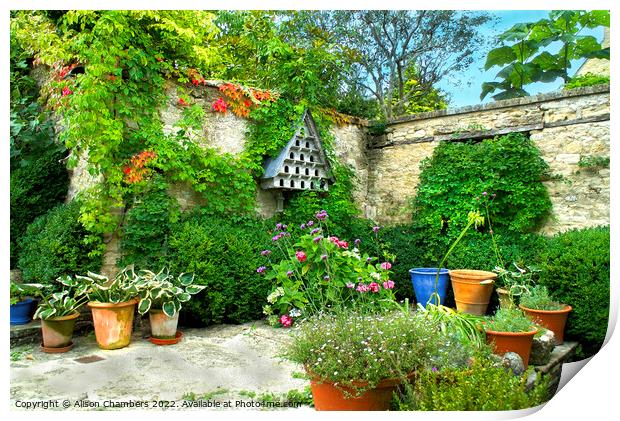 A Courtyard Garden Print by Alison Chambers