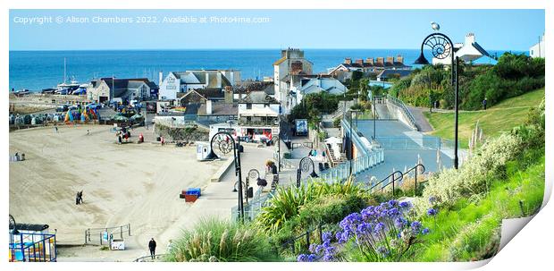 View Of Lyme Regis Panorama, Dorset   Print by Alison Chambers