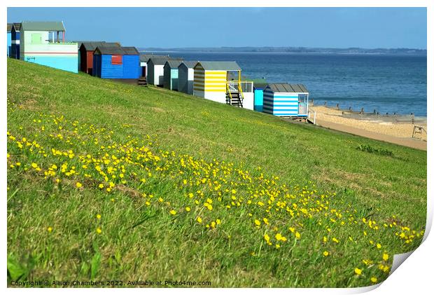 Tankerton Slopes Buttercups Print by Alison Chambers