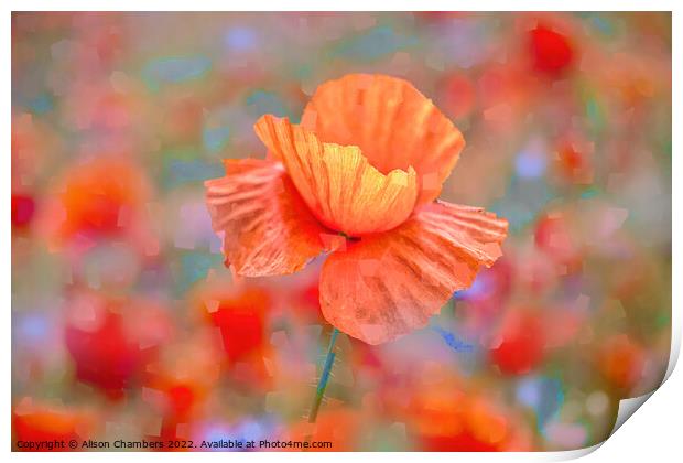 Poppy Flower Impressions Print by Alison Chambers
