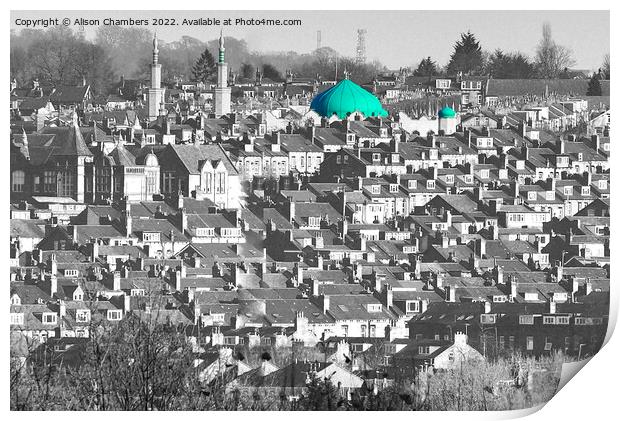 Leeds Harehills Mosque Colour Selection  Print by Alison Chambers