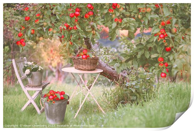 Apple Tree Print by Alison Chambers