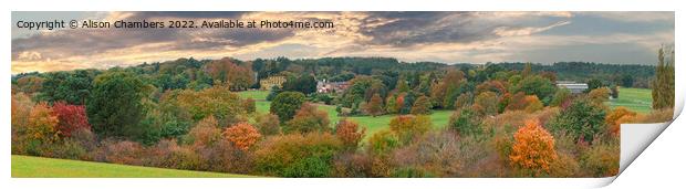 Cannon Hall  Panorama  Print by Alison Chambers