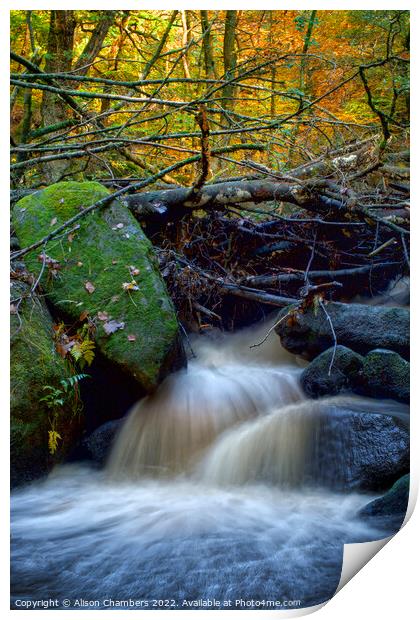 Padley Gorge Waterfall Print by Alison Chambers