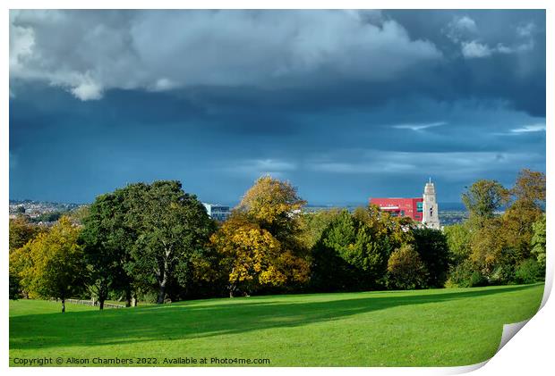 Barnsley Locke Park View Print by Alison Chambers