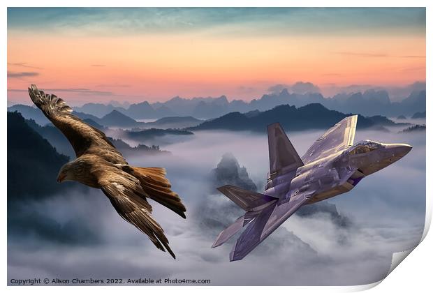F22 Raptor Print by Alison Chambers