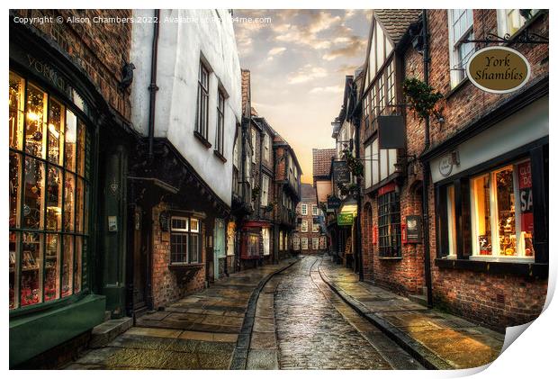 York Shambles Print by Alison Chambers