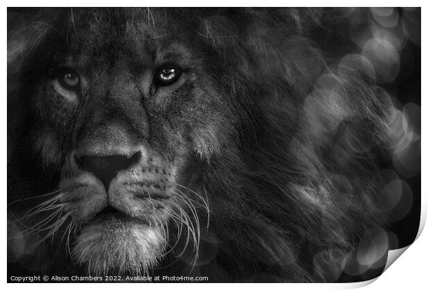 Leo The Lion Portrait Print by Alison Chambers