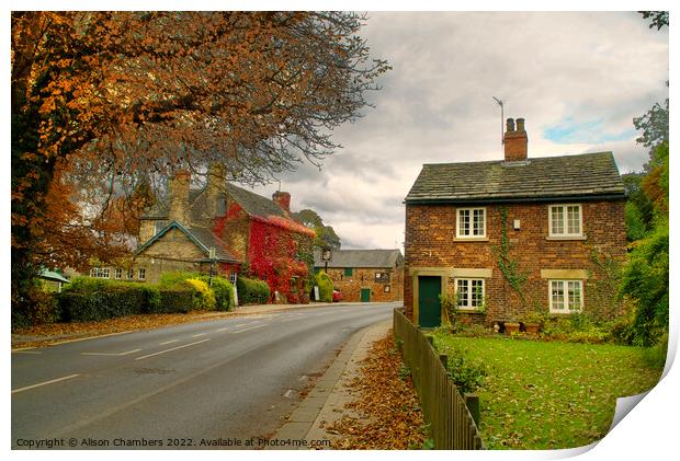 Wentworth Village Rotherham  Print by Alison Chambers