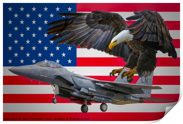 F15 Strike Eagle Print by Alison Chambers