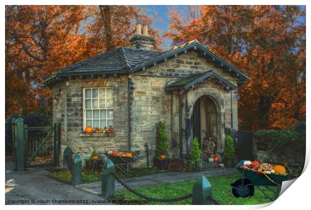 Autumn at Octagon Lodge Wentworth  Print by Alison Chambers