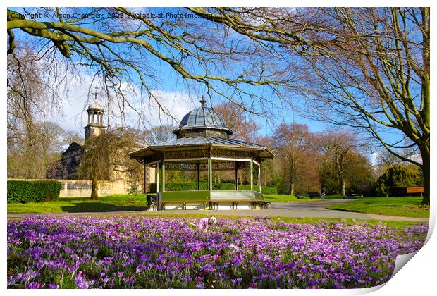 Roundhay Park Leeds Print by Alison Chambers
