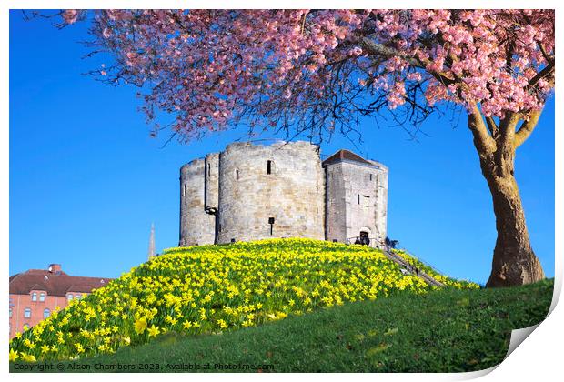 Cliffords Tower York Print by Alison Chambers