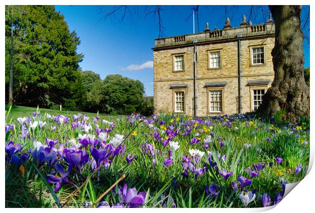 Cannon Hall Barnsley  Print by Alison Chambers