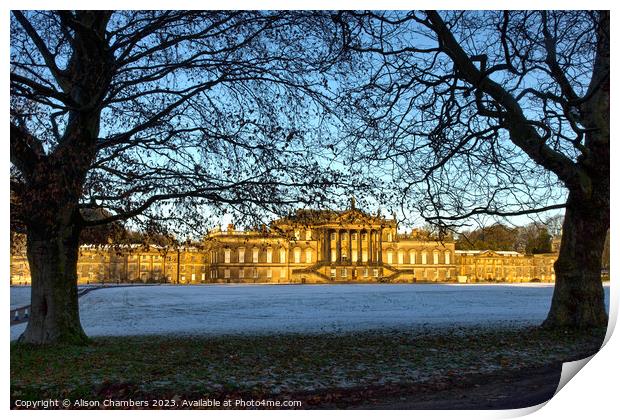 Wentworth Woodhouse  Print by Alison Chambers