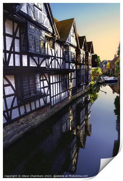  Canterbury  Print by Alison Chambers