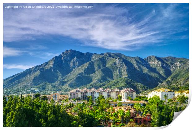 Sierra Blanca Mountains  Print by Alison Chambers