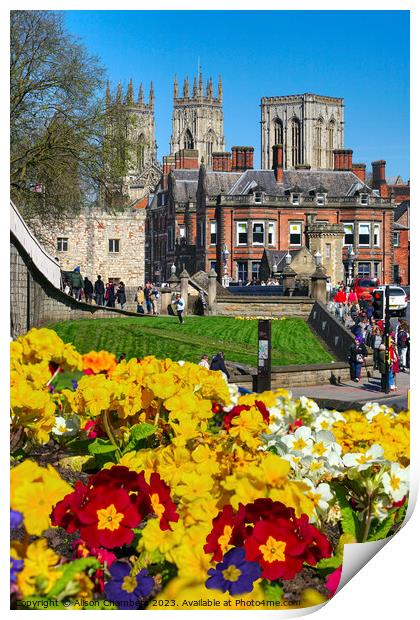 York Minster View Print by Alison Chambers