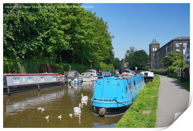 Skipton Canal Swans Print by Alison Chambers