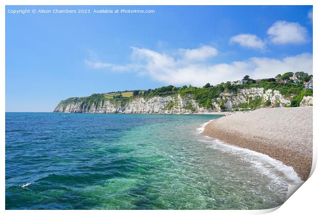 Beer Devon Print by Alison Chambers